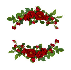 Wall Mural - beautiful frame of red roses and buds on white background with space for text. top view, flat lay