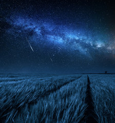 Wall Mural - big and blue milky way over field at night