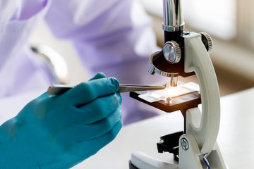 Wall Mural - close-up of scientist hands with microscope, examining samples in laboratory