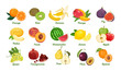 © Sunnydream - Set of fruits isolated on white background. Grape, Orange, Kiwi, Banana, Mango, Fig, Melon, Peach, Watermelon, Lemon, Apple, Pomegranate, Pear, Plum, Apricot. Vector bright color flat illustration.