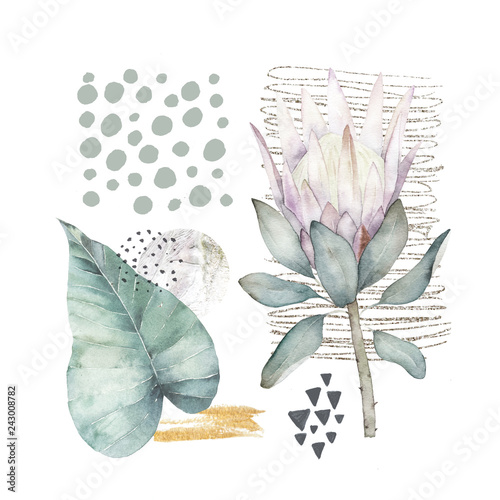Hand drawn illustration with watercolor, marble elements and protea. Scandina...