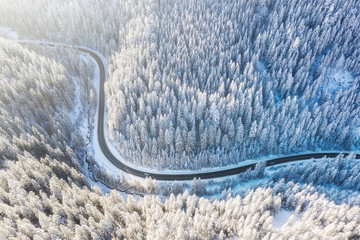 Wall Mural - aerial view on the road and forest at the winter time. natural winter landscape from air. forest und