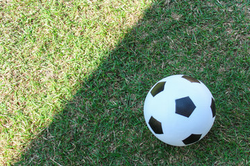 soccer ball lies on the green grass of the lawn