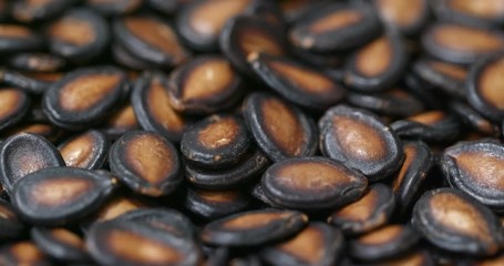 Canvas Print - Black watermelon seed in rotation