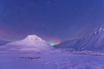 Wall Mural - the polar arctic northern lights aurora borealis sky star in norway svalbard in longyearbyen the moo