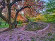 Central Park, New York City in spring