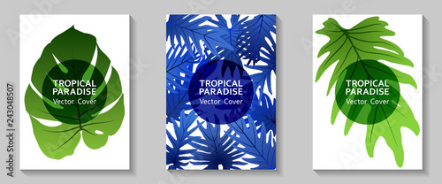 Tropical paradise leaf vector cover layout.