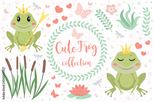 Cute frog princess character set of objects Tableau sur Toile