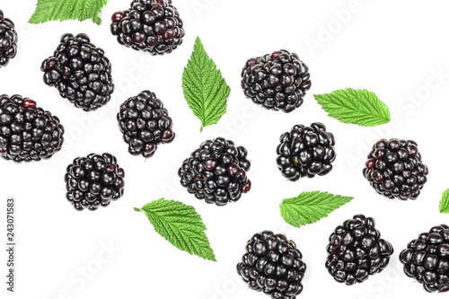 Fotografija Fresh blackberry with leaves isolated on white background with copy space for your text