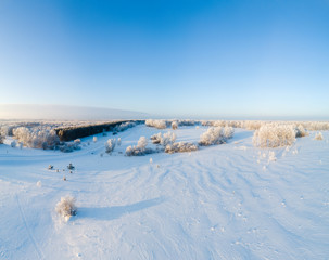 Wall Mural - Winter Forest Landscape.