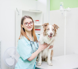 Sticker - Happy veterinarian doctor embracing puppy at vet ambulance