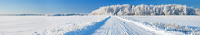 Winter Landscape Panorama With Road And Forest