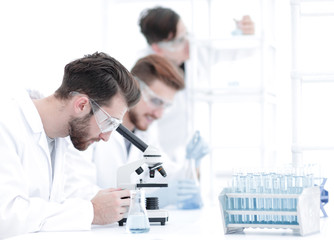 Wall Mural - toned image.a group of scientists conduct research