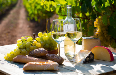 Tasty  cheese, wine, grapes and bread on table  in vineyards