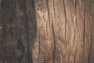 wood texture background