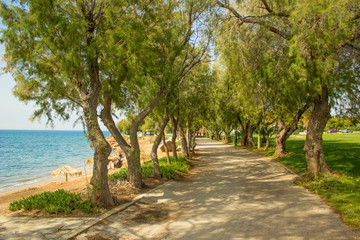 beautiful vivid colors south tropic park with road for promenade along sea waterfront in summer sunny clear weather time