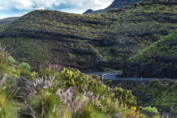 Wall Mural - Canary islands gran canaria sunny winter day