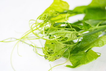 Fresh Chayote leaf on white table, organic vegetables