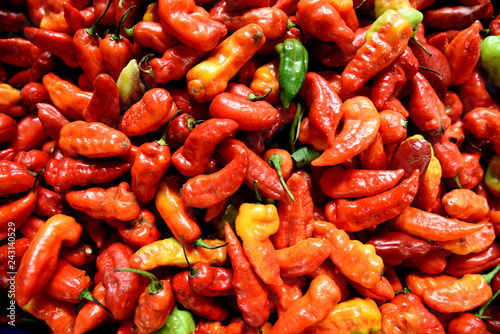 Fotografie, Obraz Freshly harvested colorful red, orange, yellow and green chili peppers in a farmers market in Medellin, Colombia