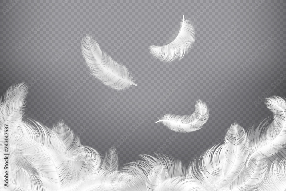 White feather background. Closeup bird or angel feathers. Falling weightless plumes. Dream vector illustration - obrazy, fototapety, plakaty 
