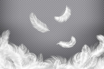 white feather background. closeup bird or angel feathers. falling weightless plumes. dream vector il