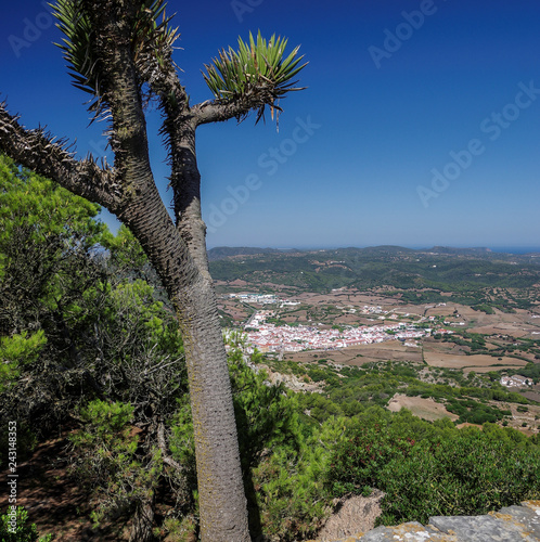 Foto Blick auf Es Mercadal auf Menorca vom El Toro