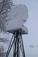 Wall Mural - Snow Covereed Windmilldmill