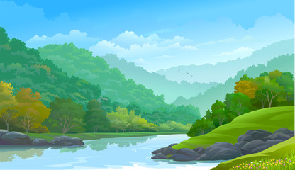 Wall Mural - dense green forest along side a river and a few rocks