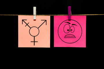 Two stickers. On the left white page image of transgender symbol. On right pink page is an expression of anger.