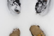 © Nataliya Pokrovska - Two pairs of legs of man and woman covered with snow in sunny winter day. Love couple. Concept of friendship, copy space, holidays, Valentine's day.