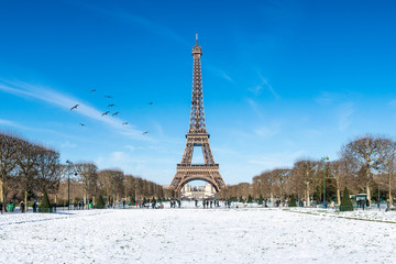Wall Mural - Eiffelturm im Winter, Paris, Frankreich