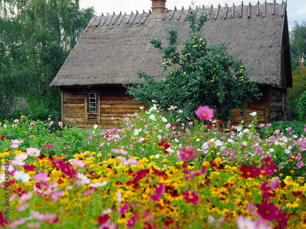 Old house in Kashubian Ethnographic Park in Wdzydze Kiszewskie. Poland. - obrazy, fototapety, plakaty 