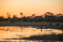 Landscapes Of The Okavango Delta 