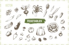 Hand Drawn Vegetables Set. Vintage Vector Icons