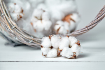 Wall Mural - Cotton flowers and a basket on a white wooden table