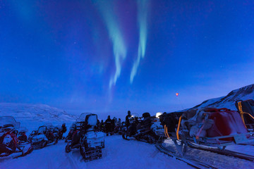 Wall Mural - the polar arctic northern lights aurora borealis sky star in norway svalbard in longyearbyen the sno