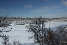 Mississippi In Winter