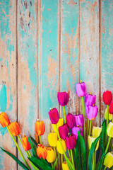 Wall Mural - tulip blossom flowers on vintage wooden background, border frame design. vintage color tone - concep