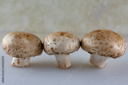 Fotografie, Obraz Three button mushrooms in a row on white foreground.