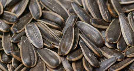 Canvas Print - Pile of Sunflower seeds