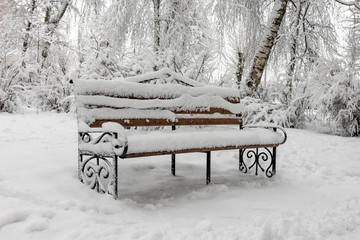 Canvas Print - Winter park with many snow