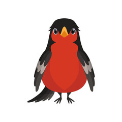 Wall Mural - bullfinch bird vector illustration on a white background