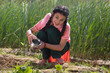 © IndiaPix - Happy little girl watering small plants sitting in agriculture field.
