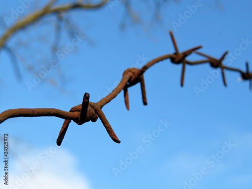 Fotografía Rusty barbed wire against blue sky with clouds and bare branches
