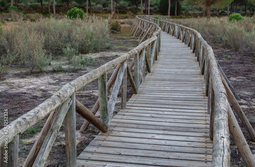 Fotografie, Obraz Wide angle of wooden footbridge track over dry wetlands