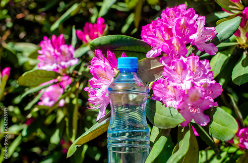 Fotografía A bottle of drinking water stands against the background of a violet rhododendro