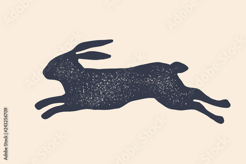 Cuadros en Lienzo Rabbit, hare, silhouette. Vintage logo, retro print, poster