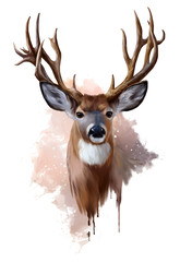 deer with spreading antlers watercolor painting
