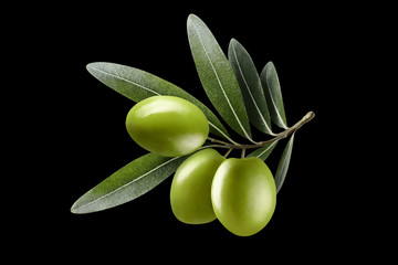 olive branch with green olives, isolated on black background