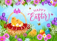 Easter Eggs, Chicks And Flowers In Basket